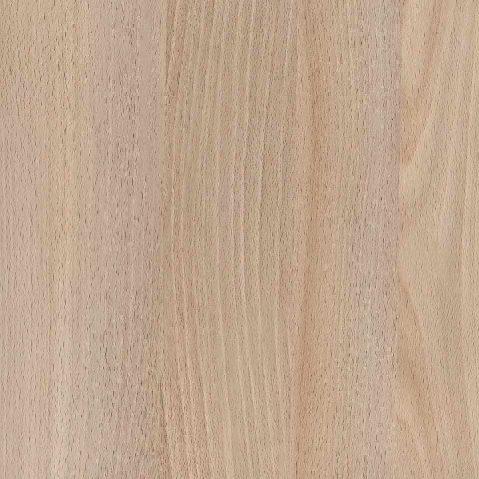 Casentino Beech