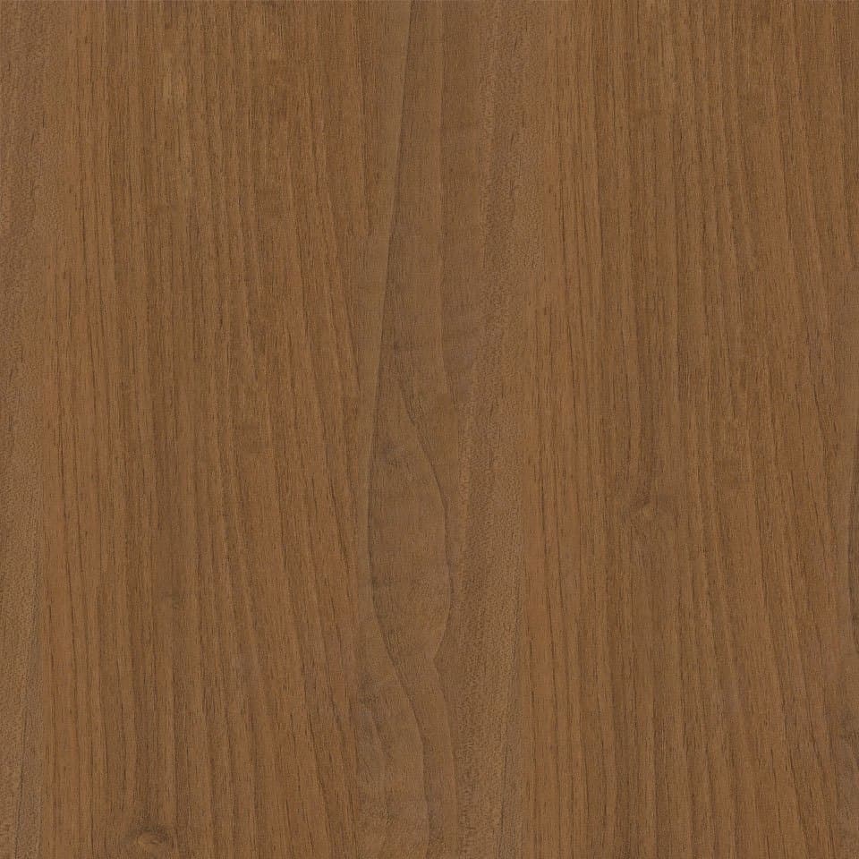 European Walnut