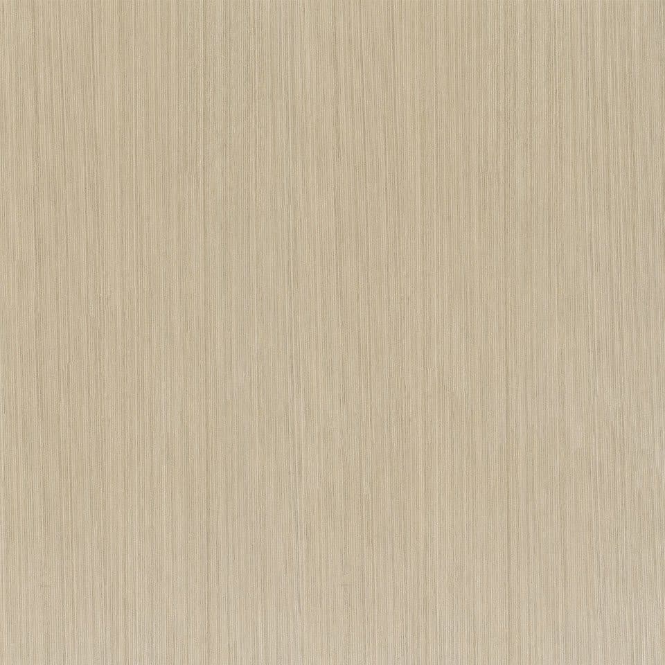 Gesso Lini