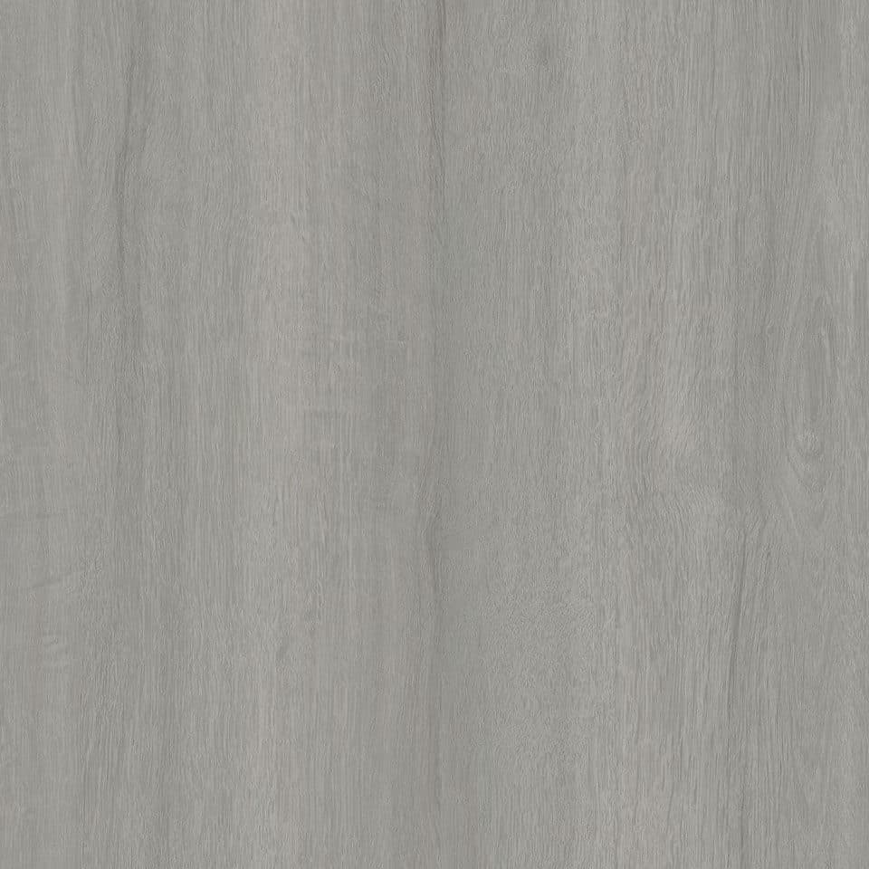 Palomera Oak