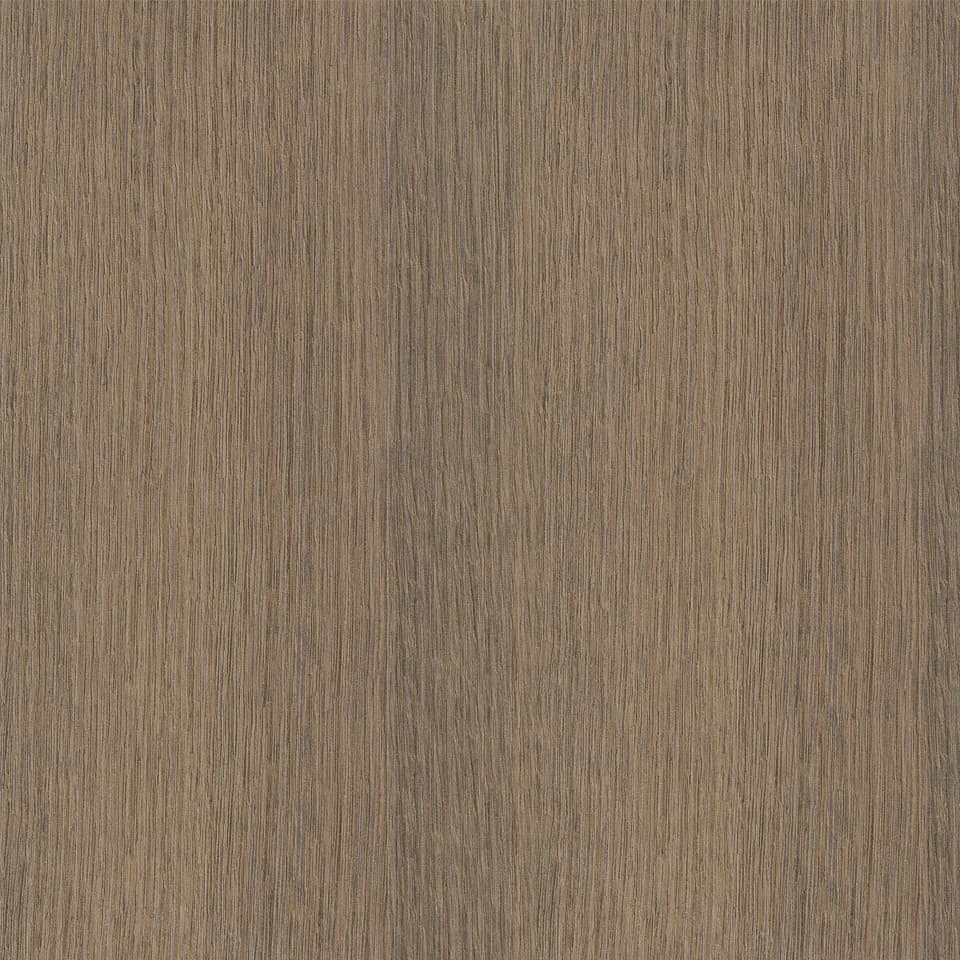 Sepia Oak