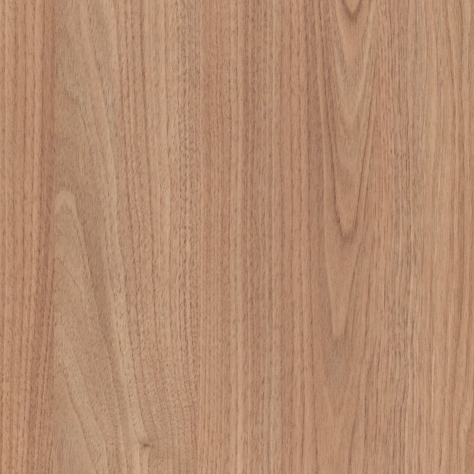 Tasmanian Oak